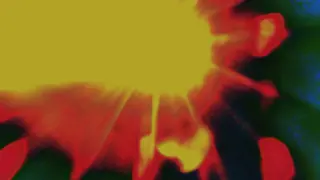 light0 p4