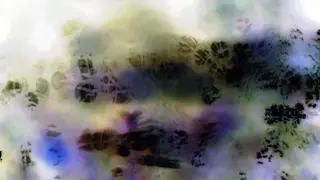 lighttest p1