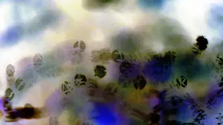lighttest p2