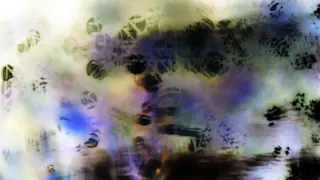 lighttest p3